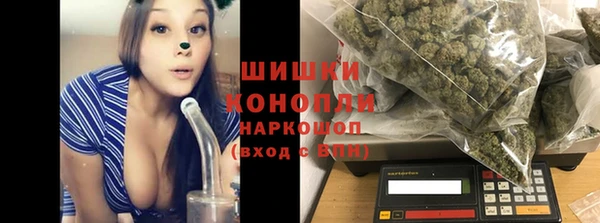 гидра Пролетарск