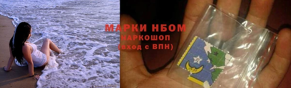 соль ск Дмитриев