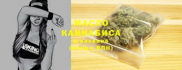 соль ск Дмитриев