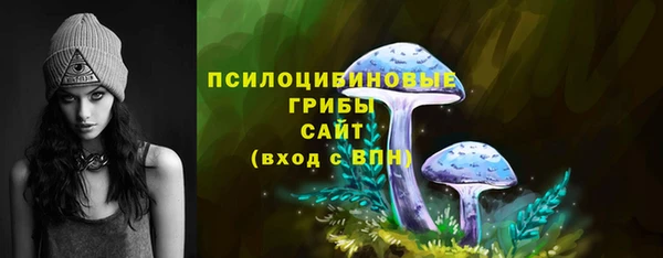 соль ск Дмитриев