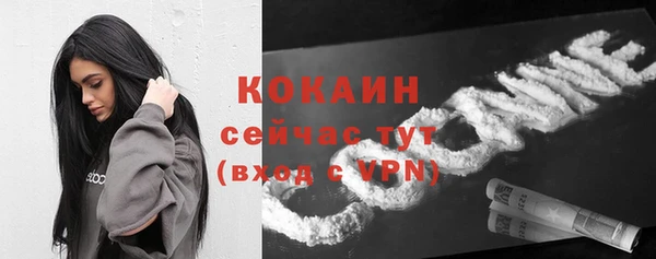 соль ск Дмитриев