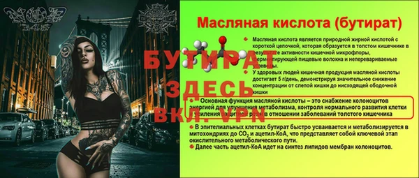 индика Дмитров