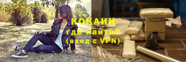 соль ск Дмитриев