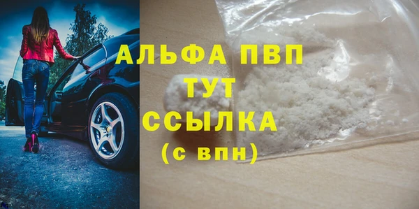 индика Дмитров