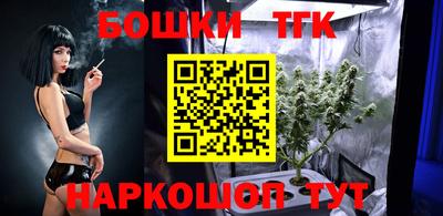 гашик Кинель