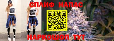 индика Кимры