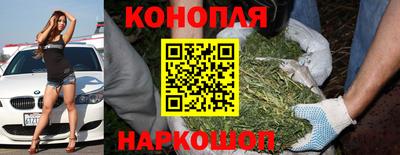 гашик Кинель