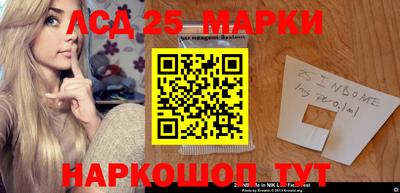 гашик Кинель