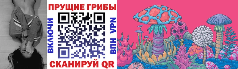 гидра   Рузаевка  Галлюциногенные грибы Cubensis 